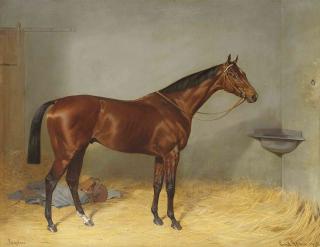 Emil Adam - Isinglass