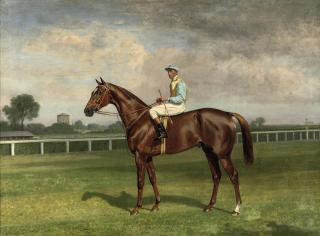 Emil Adam - Prince and Jockey Pretzner