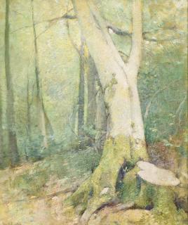 Emil Carlsen - Woodland Interior