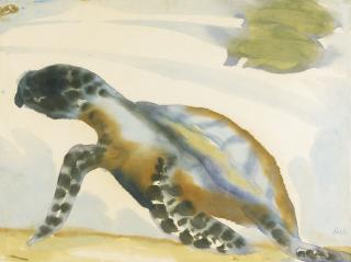 Emil Nolde - Schildkröte (Turtle)