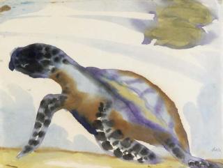 Emil Nolde - Schildkröte
