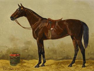 Emil Volkers - Pferdeporträt im Stall.