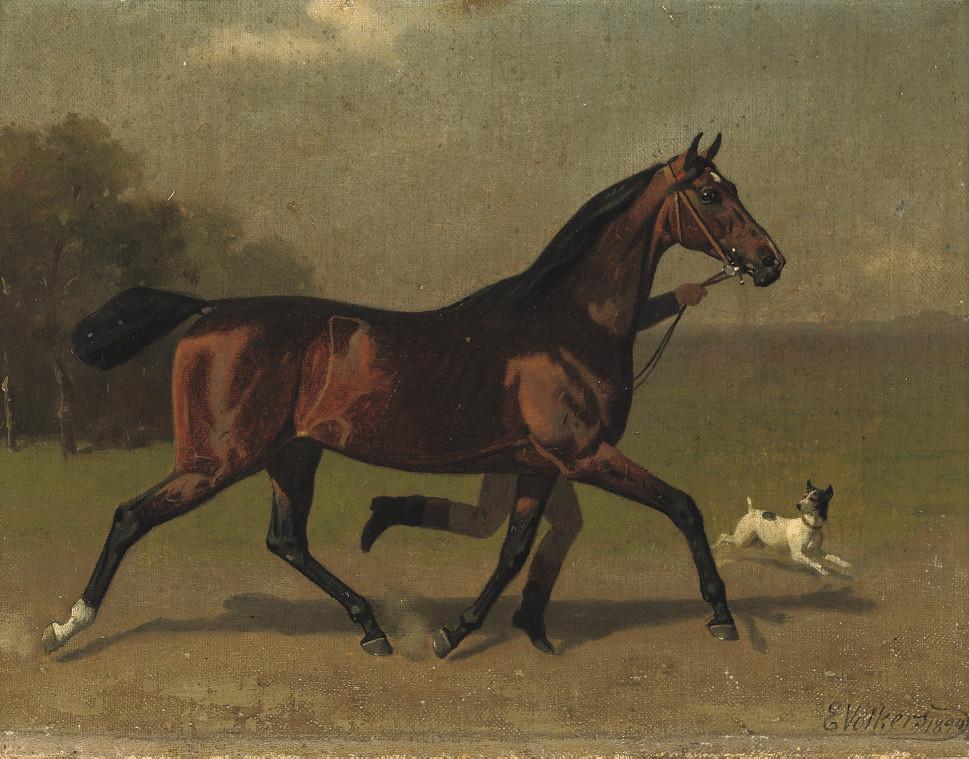 Emil Volkers - Stretching the legs