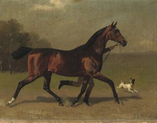 Emil Volkers - Stretching the legs