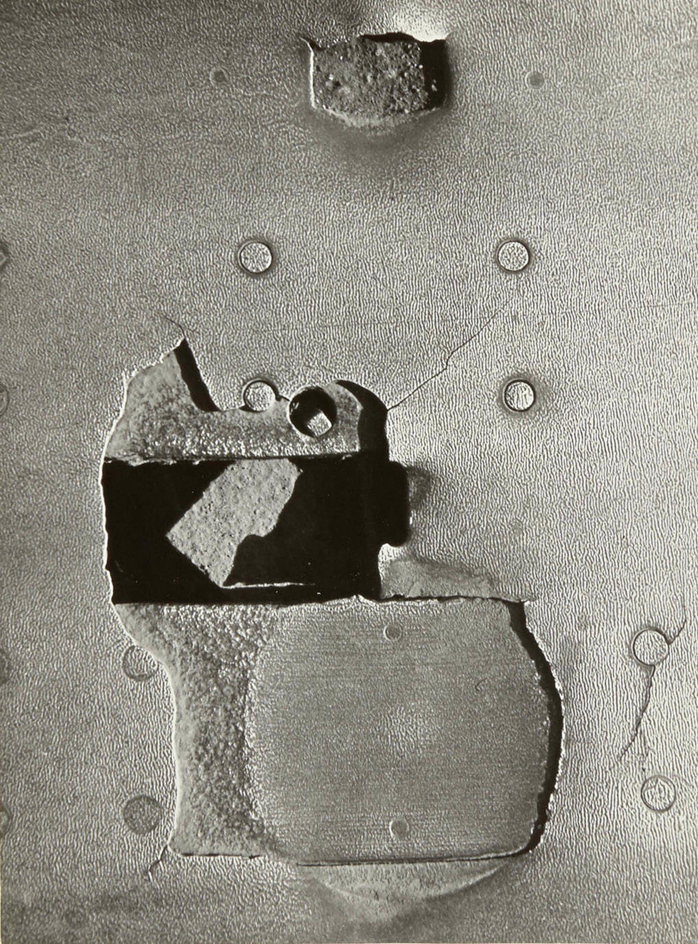 Emila Medkova - Cup, 1955-1965