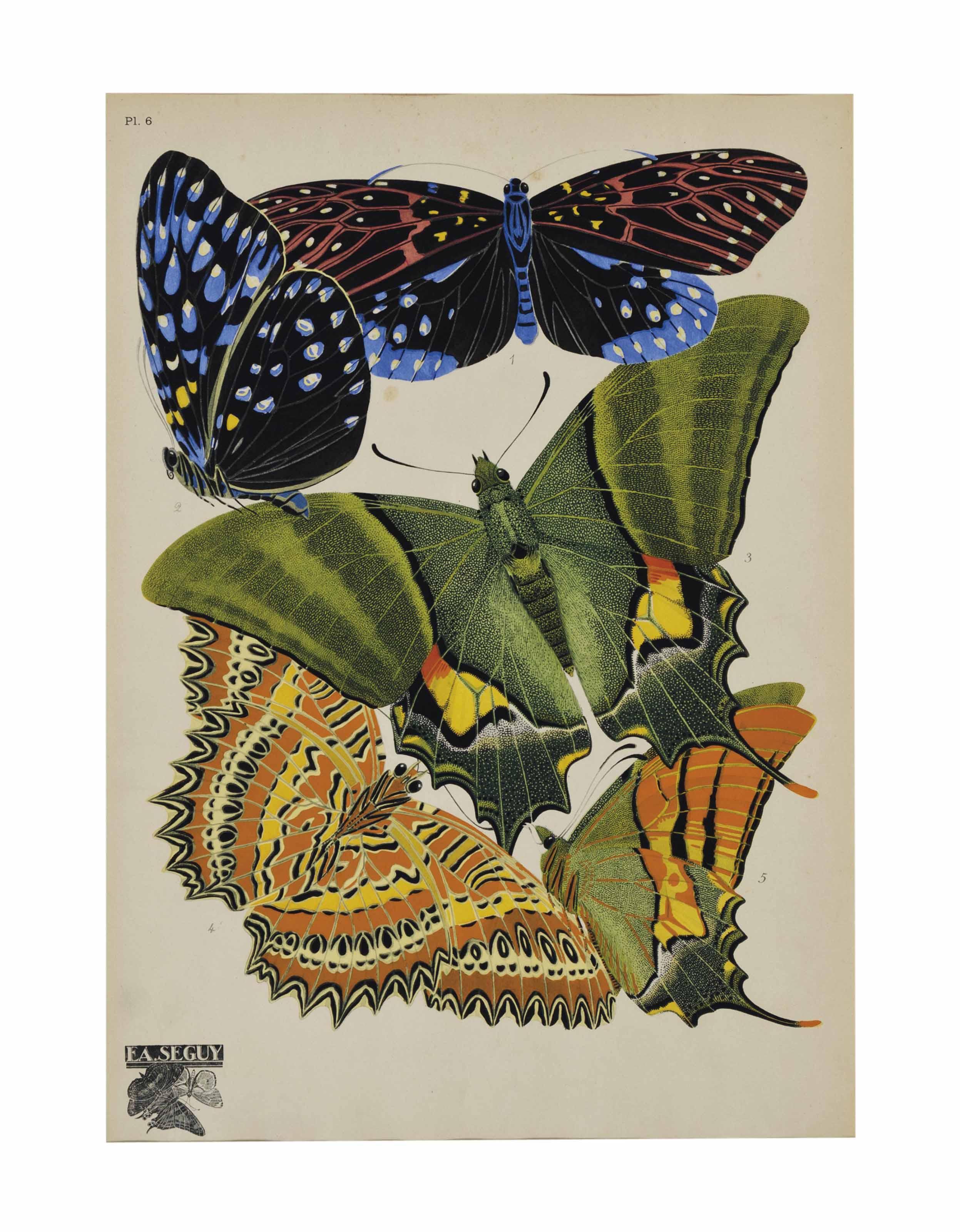 Émile-Alain Séguy - [Papillons]: Three Plates