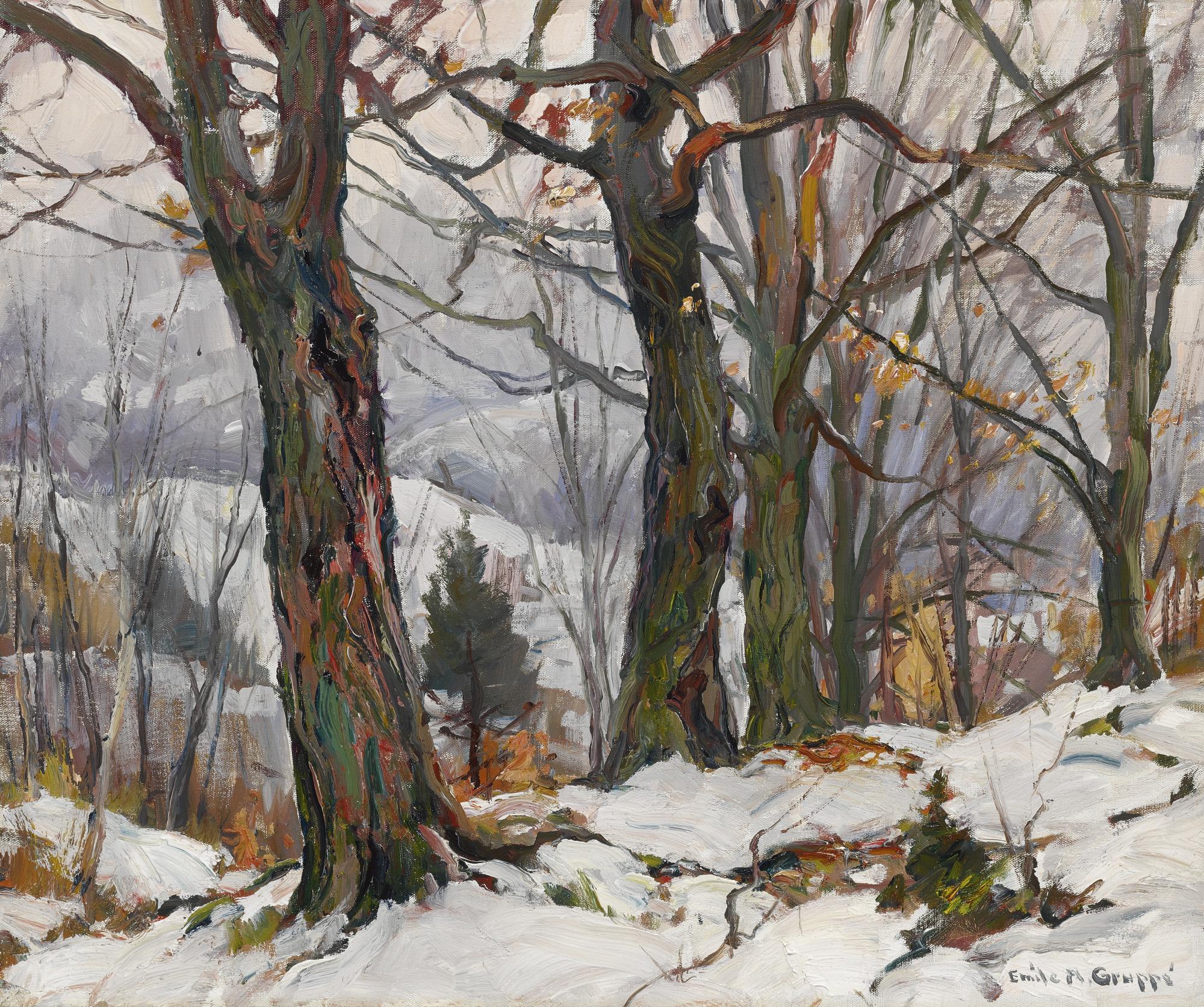 Emile Albert Gruppe - First Snow, Vt