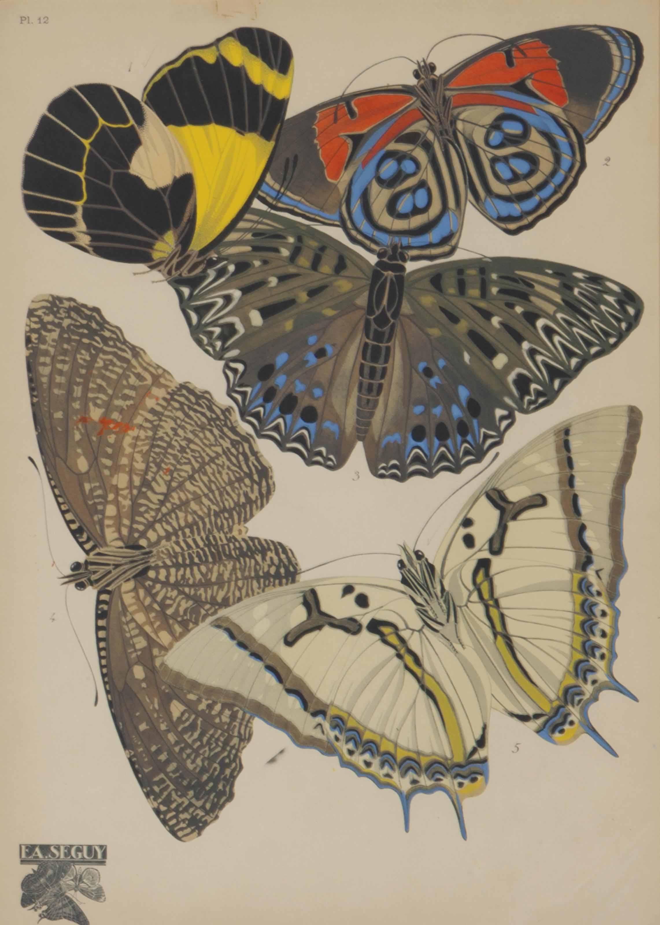 Emile-Allain Séguy - [Butterflies]: Four Plates