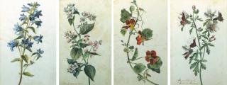 Emile-Charles Labbe - Botanical studies: A branch of pink and pale mauve flowers; Pale mauve and white mallow flowers; A branch of nasturtiums; and A branch of blue delphiniums