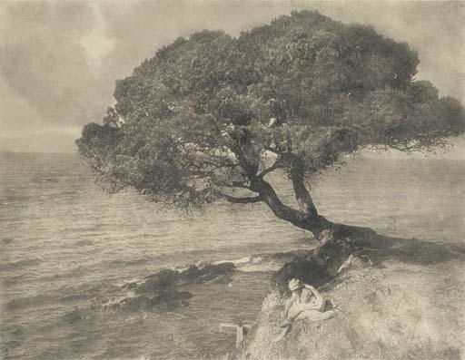 Emile Joachim Constant Puyo - Parasol Pine, C.1910