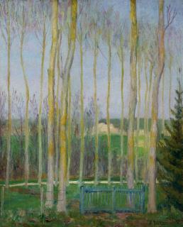 Emile Jourdan - Peupliers