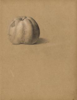 Emilie Preyer - Eine Reneklode und Rosenstudien