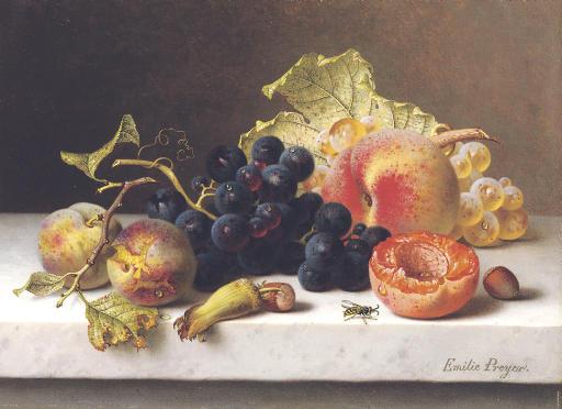 Emilie Preyer - Grapes, peaches and plums on a marble ledge