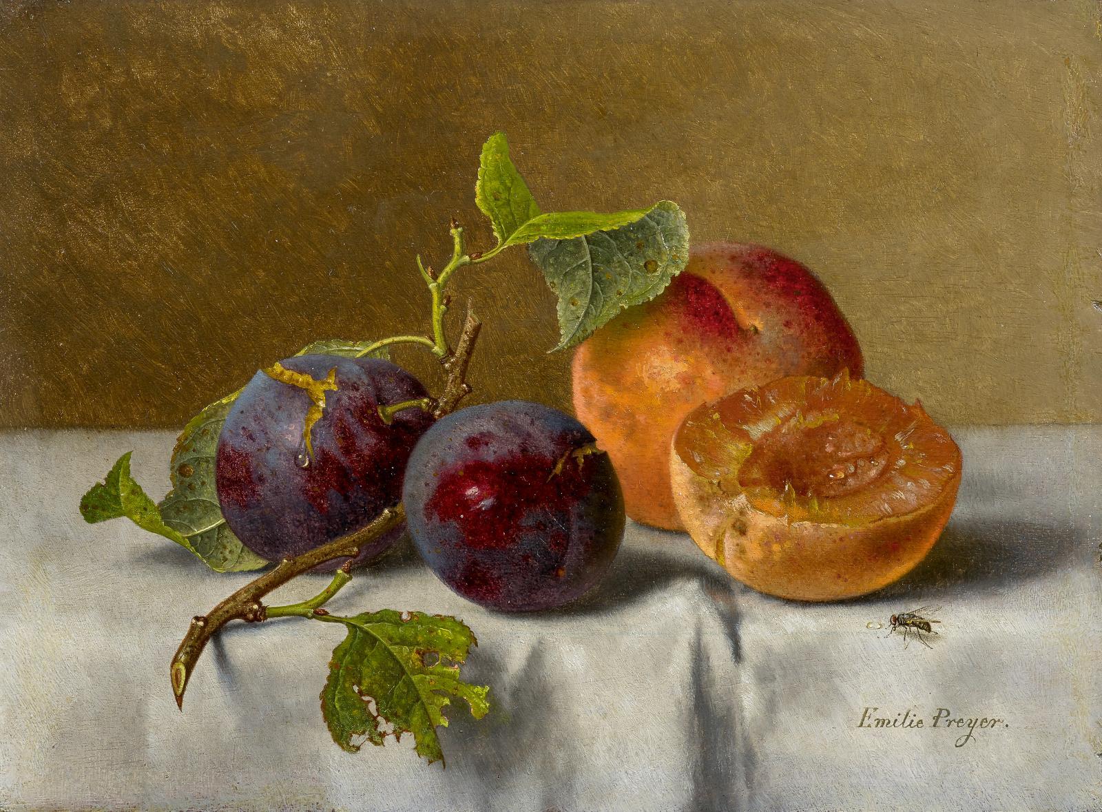 Emilie Preyer - Stillleben mit Pflaumen und Aprikosen.
