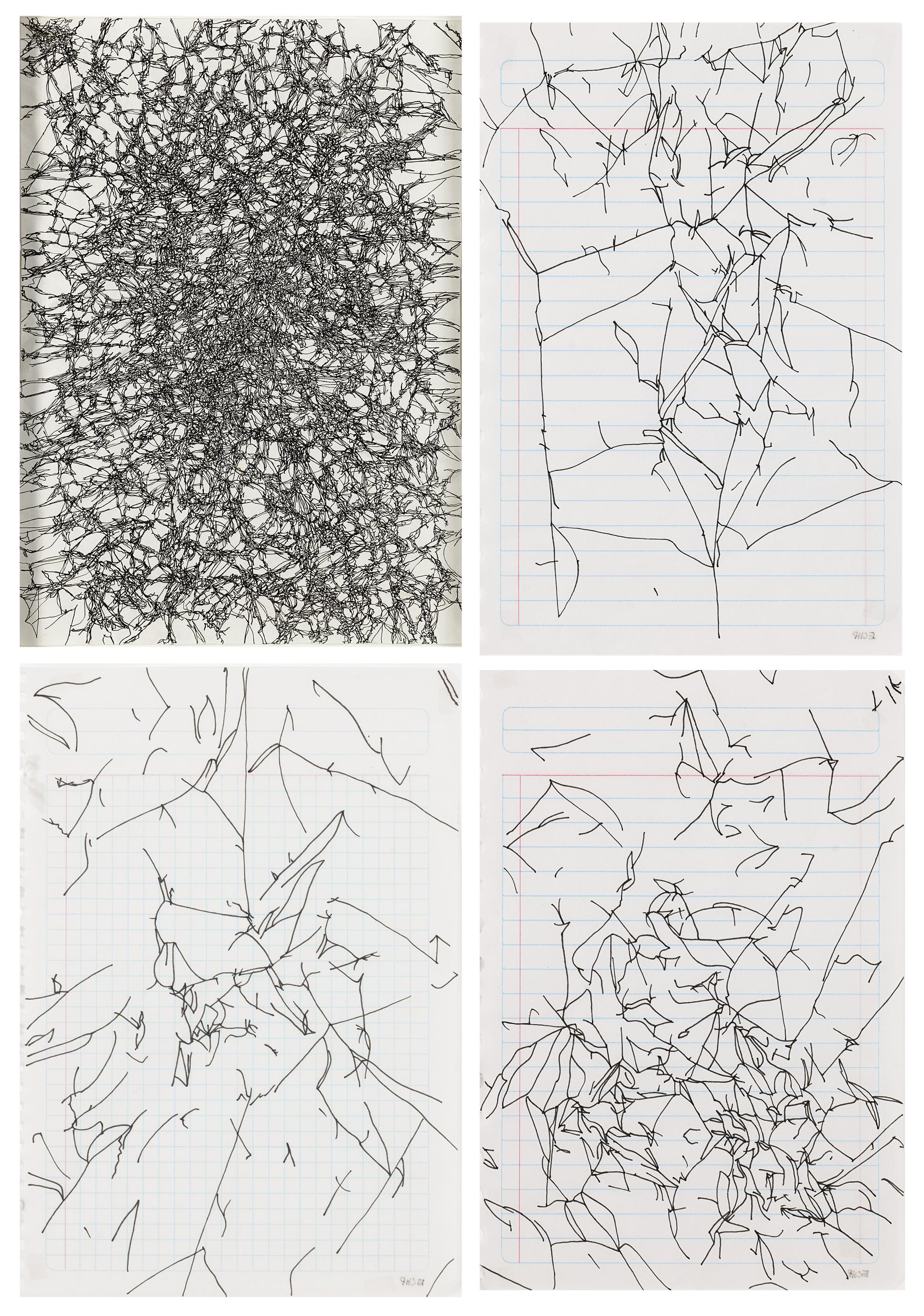 Emilio Chapela Pérez