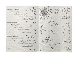 Emilio Isgrò - Le Api Della Torah