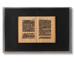 Emilio Isgrò - Libro cancellato