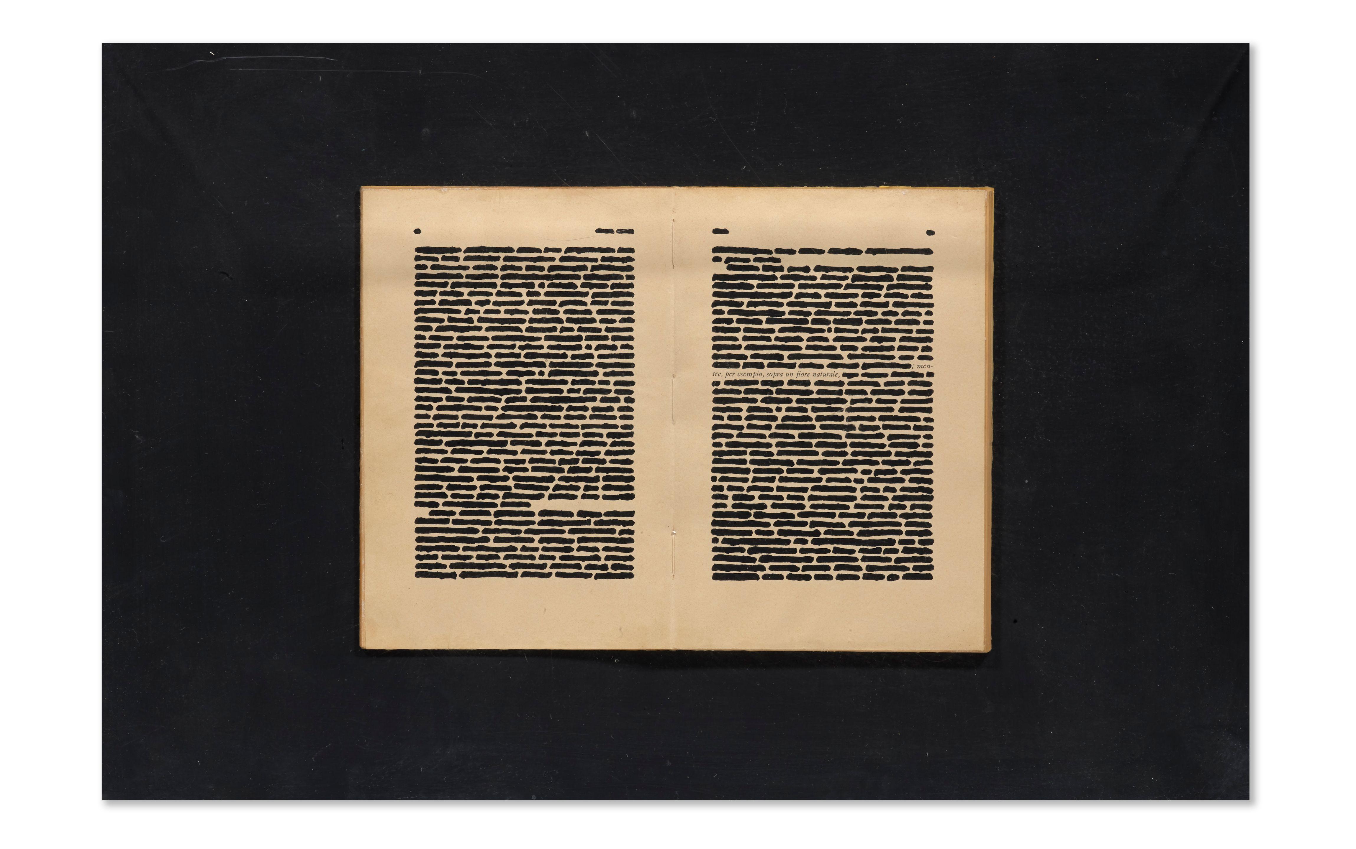 Emilio Isgrò - Sopra un fiore