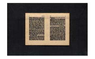 Emilio Isgrò - Sopra un fiore