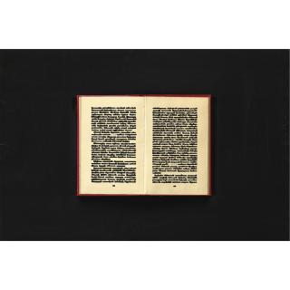 Emilio Isgrò - Sotto Forza