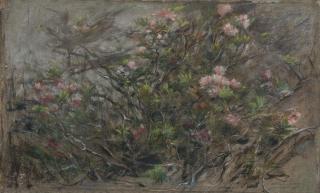 Emilio Longoni - Cardo spinoso