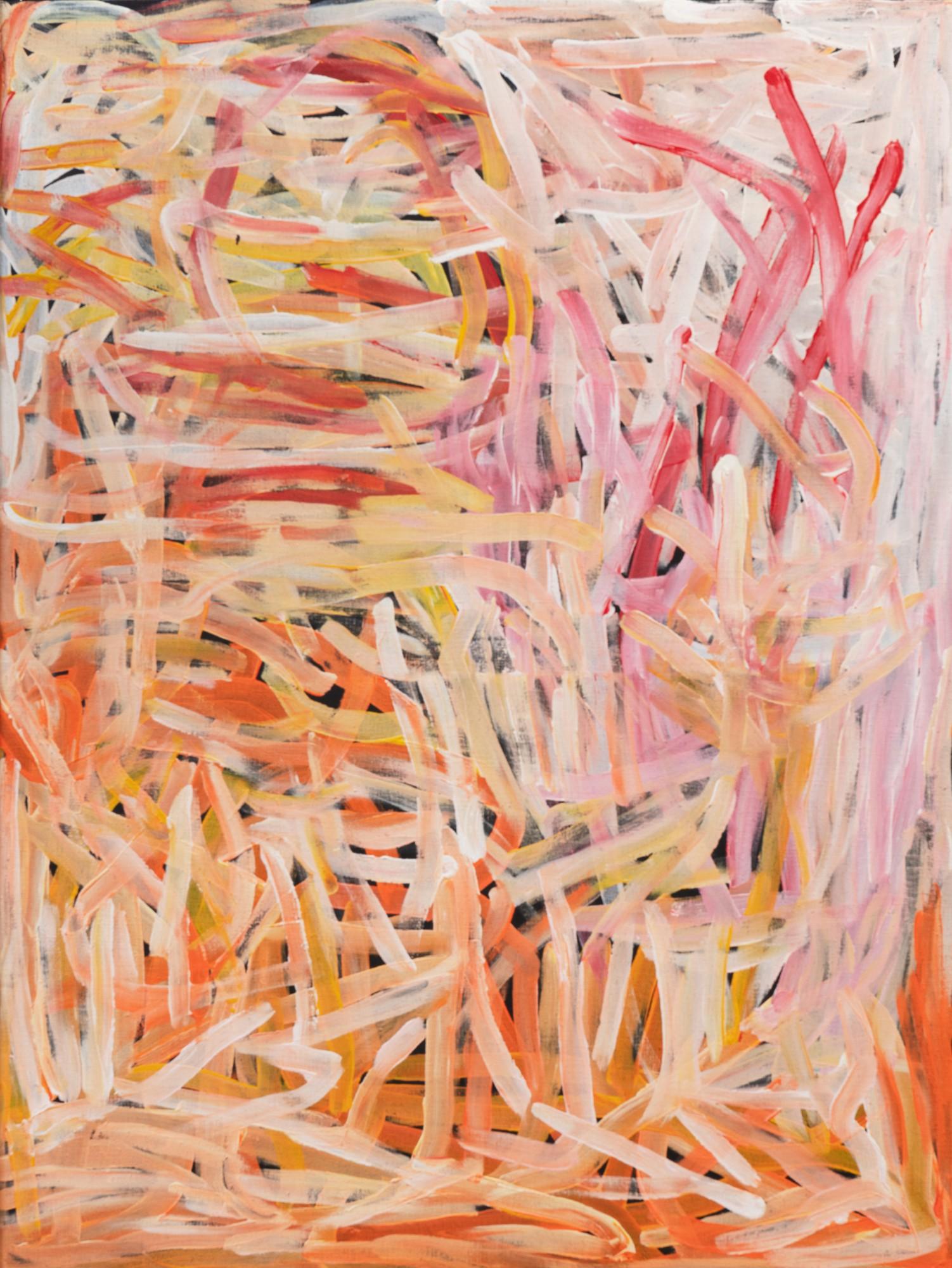 Emily Kame Kngwarreye - Le sol de bush