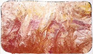 Emily Kame Kngwarreye - My Mother\'s Country