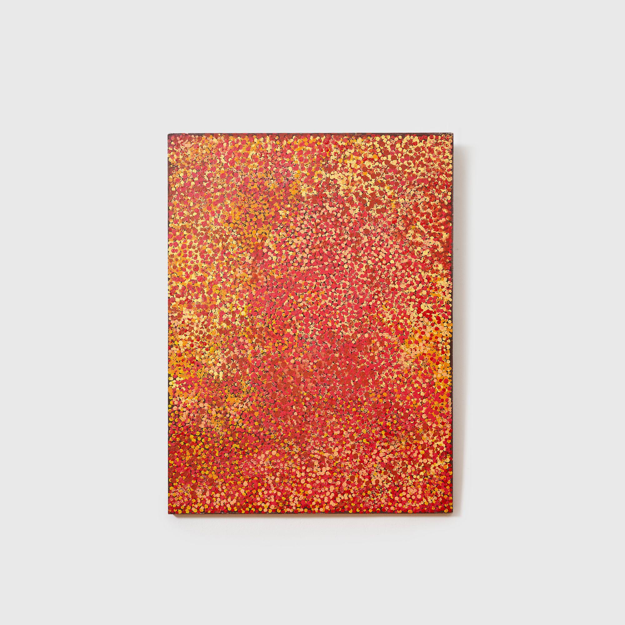 Emily Kame Kngwarreye - Spirited Desert, 1991