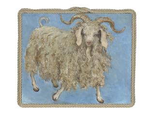 Emily Patrick - Angora goat from the Docklands City Farm