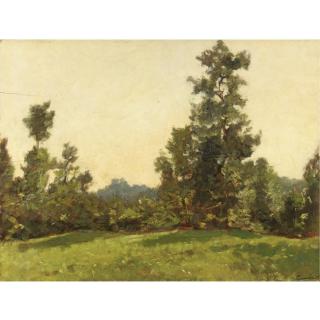 Emma Ciardi - I Pilastri Del Bosco