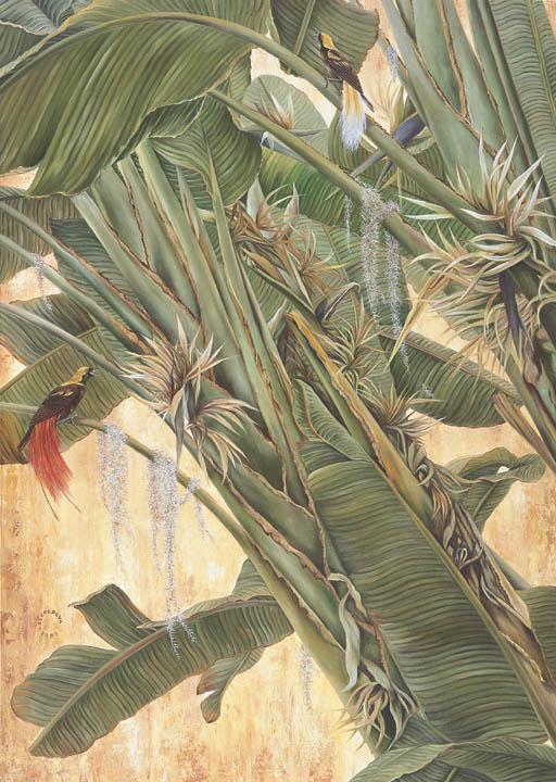 Emmanuel L. Cordova - Birds of Paradise
