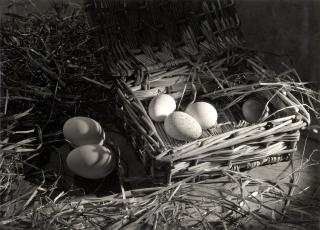 Emmanuel Sougez - Eier im Stroh