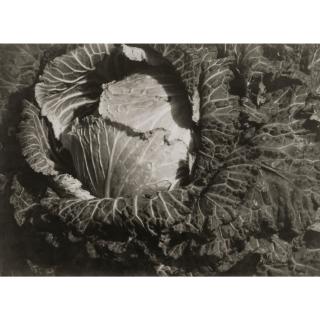 Emmanuel Sougez - Études De Fleurs, Fruits Et Légumes, Années 1930/40