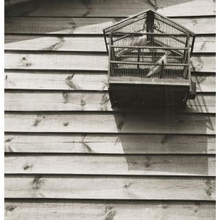 Emmanuel Sougez - Sujets Divers, Années 1930-40