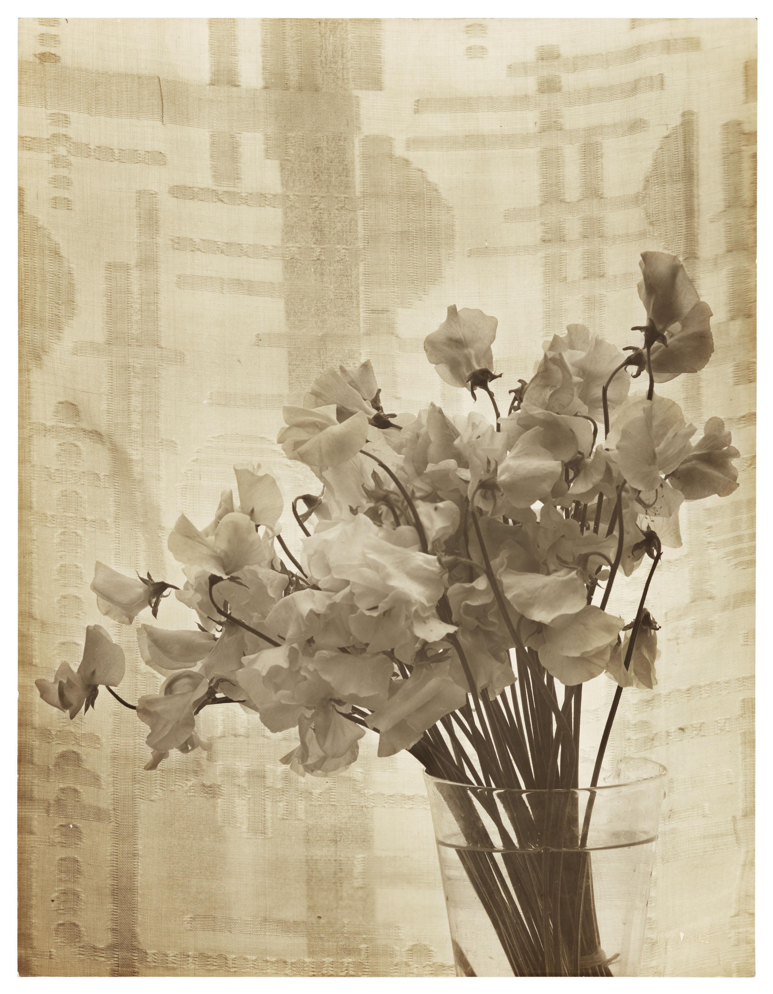 Emmanuel Sougez - Untitled (Flowers in vase), 1930