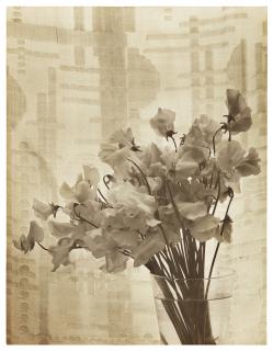 Emmanuel Sougez - Untitled (Flowers in vase), 1930