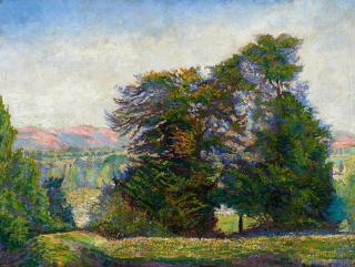 Emmanuel Victor Auguste Marie de la Villéon - Hügellandschaft mit Bäumen