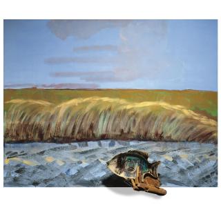 Emo Verkerk - Dutch Jimi Hendrix Op Texel