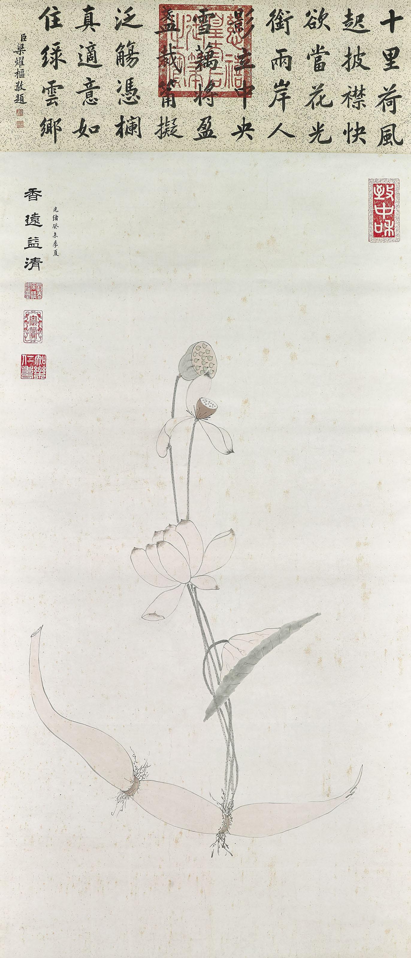 Empress Cixi - Lotus, Root and Seed