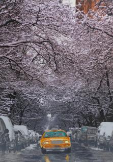 Ena Swansea - Four Seasons (4 works)