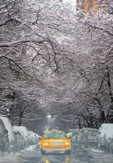 Ena Swansea - „Four“