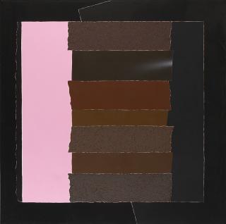 Ennio Finzi - Verso il rosa