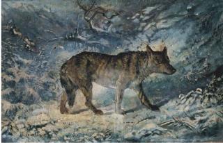 Enrico Coleman - Lupo Nel Bosco Innevato