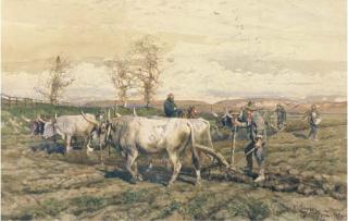 Enrico Coleman - Sementi D\'Inverno, Campagna Romana