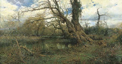 Enrico Coleman - Stagno a Maccarese