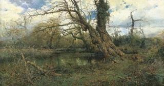 Enrico Coleman - Stagno a Maccarese