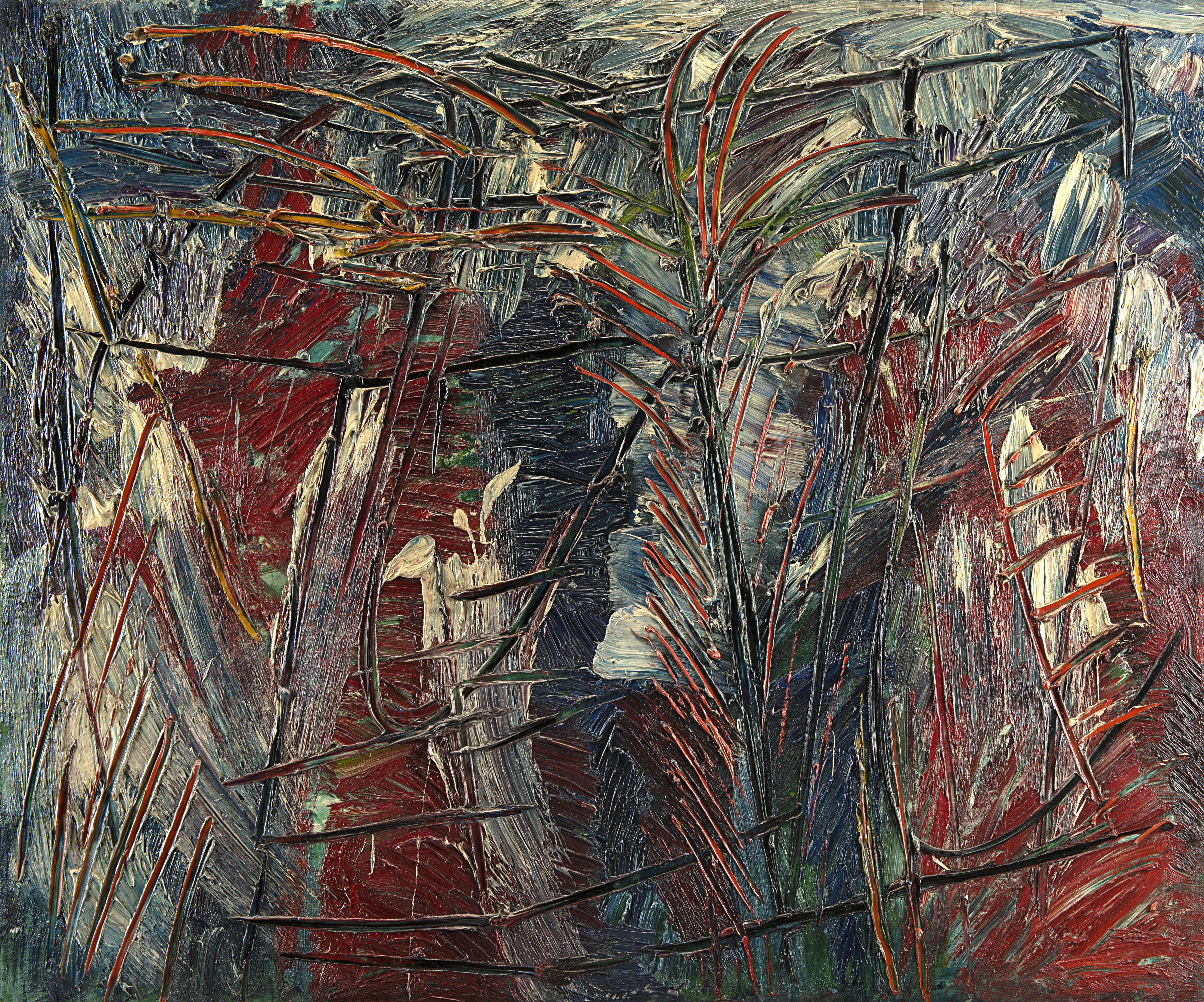 Enrico Della Torre - Canneto