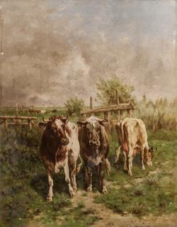 Enrico Meneghelli - Mucche