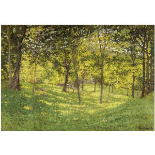 Enrico Reycend - Sinfonia Di Luci E Ombre