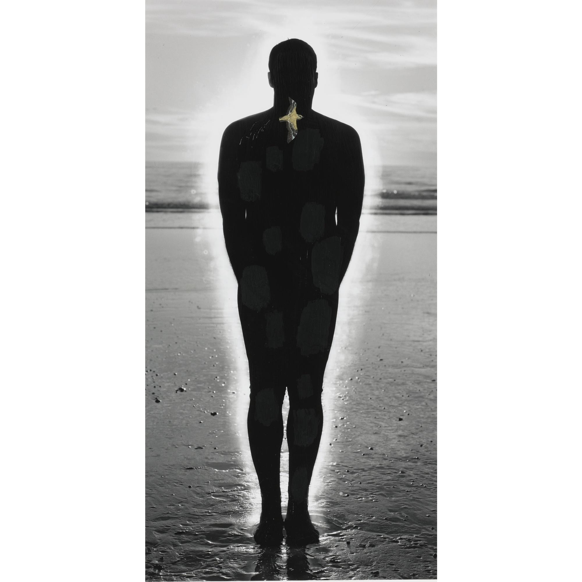 Enrique Martinez Celaya - Frankness (Work Of Mercy)